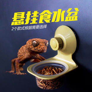 爬宠壁挂悬浮喂食水盆小睫角变色龙树蛙巨人盖勾亚守宫吸盘喂食器