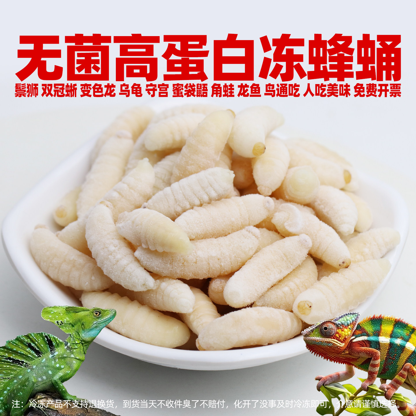 爬宠高蛋白鲜冻一级蜂蛹营养饲料