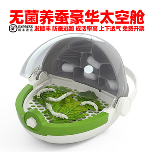 太空舱蚕宝宝饲养盒养蚕套装鲜桑叶养蚕专用盒天然彩色蚕宝宝新鲜