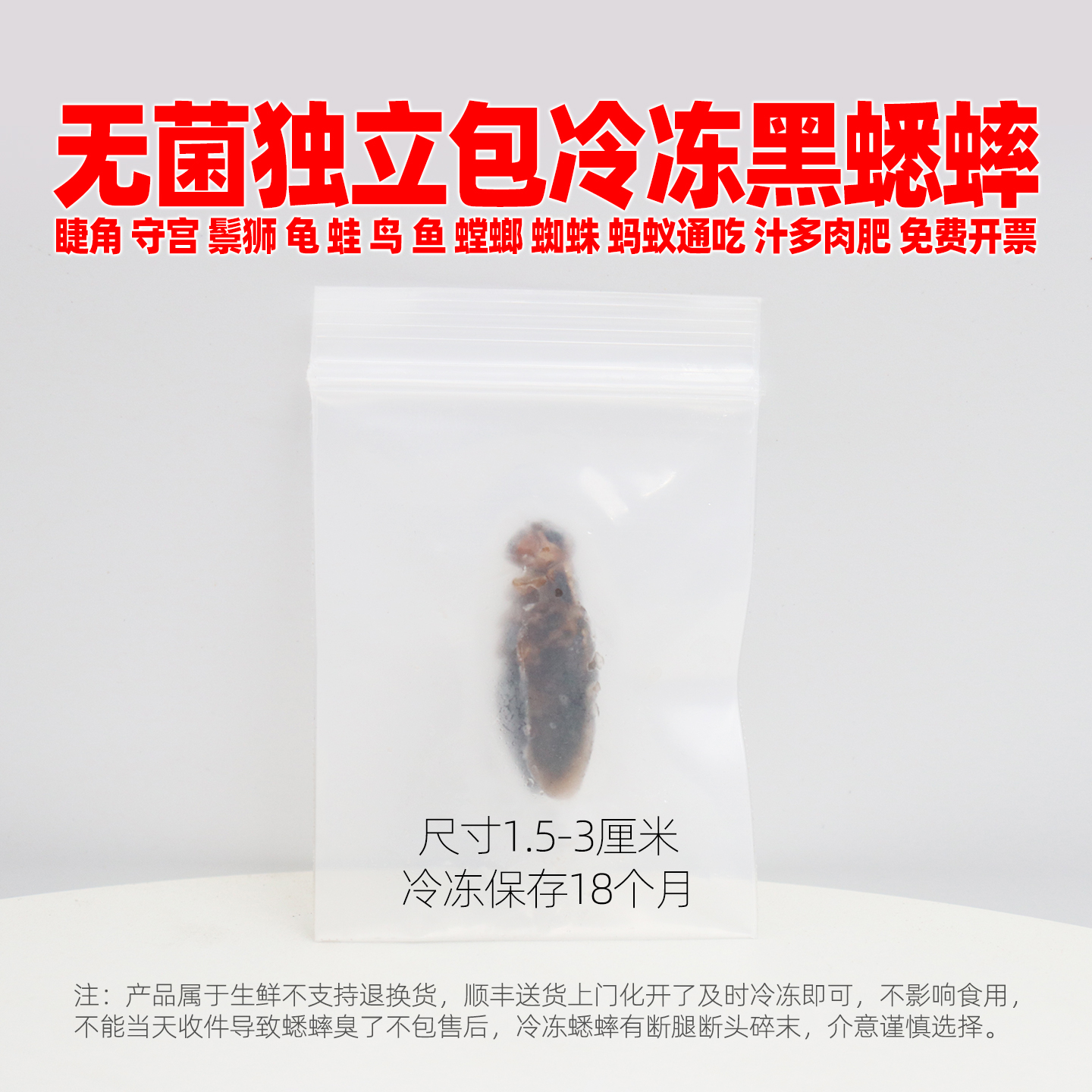 无菌袋装黑蟋蟀油葫芦白蟋蟀蛐蛐