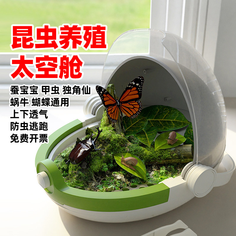 无菌蚕宝宝蜗牛甲虫独角仙蝴蝶太空舱饲养盒养蚕套装鲜桑叶专用盒