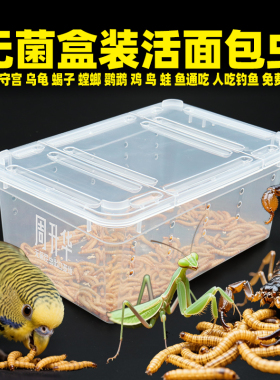 活虫面包虫饲养盒黄粉虫仓鼠鹦鹉螳螂蝎子龟鱼鬃狮守宫鸟粮食饲料