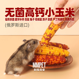 进口彩色小玉米棒仓鼠金丝熊鸽子虎皮鹦鹉文鸟豚鼠龙猫刺猬粮食物