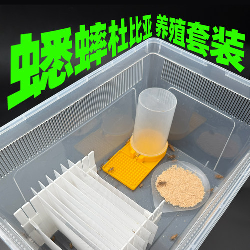 爬宠昆虫抑菌透气降噪饲养箱虫盒