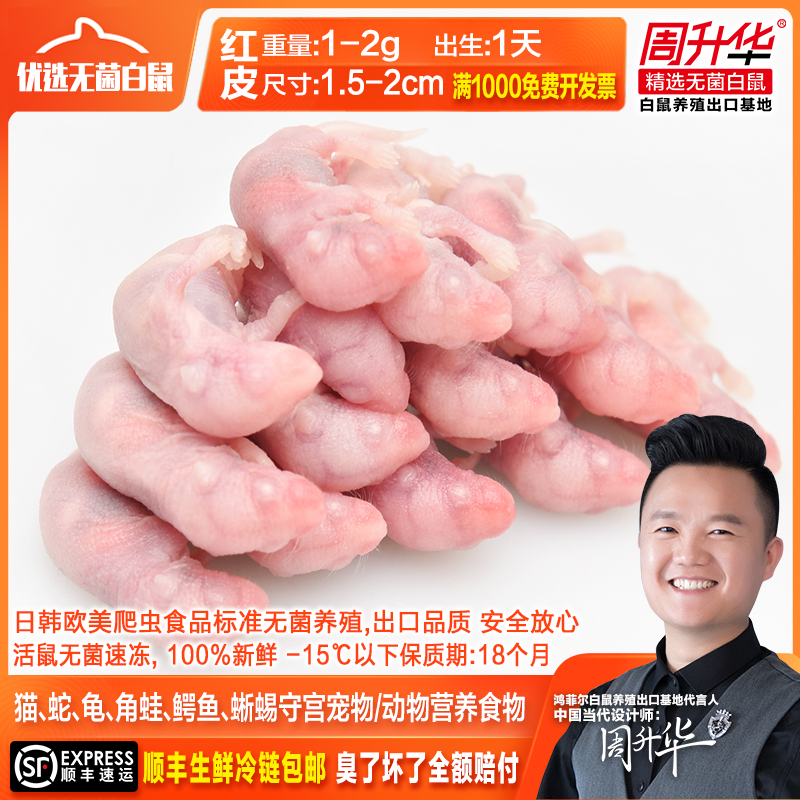 冰冻无菌乳鼠猫粮白鼠亚成宠物粮爬虫守宫龟角蛙龙鱼动物饲料食物|ruв категории животное/Животное питание и принадлежностей, рептилии/насекомых и принадлежностей, рептилии/насекомых питание - от Buy2taobao.com для оказания профессиональной услуги покупки агента Taobao