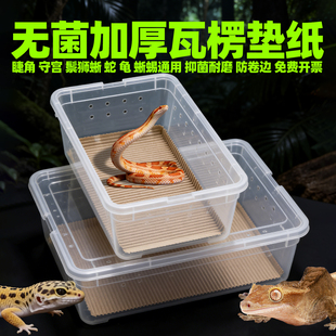 无菌加厚瓦楞纸爬宠垫材蛇守宫沃派星人掌上明蛛爬盒专用包边垫纸