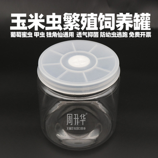 大蜡螟玉米虫葡萄蜜虫饲养罐繁殖养殖瓶甲虫独角仙锹甲爬宠幼虫盒