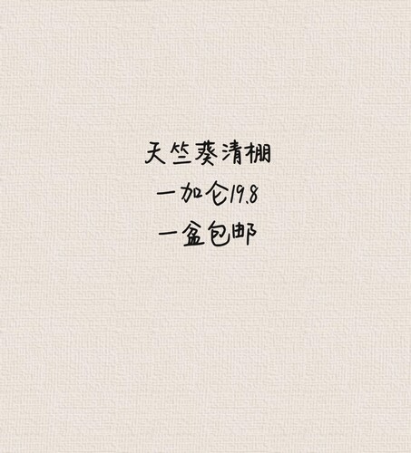 天竺葵清棚特惠一加仑19.8包邮黄叶消苞掉叶掉花剑无售后介意勿拍