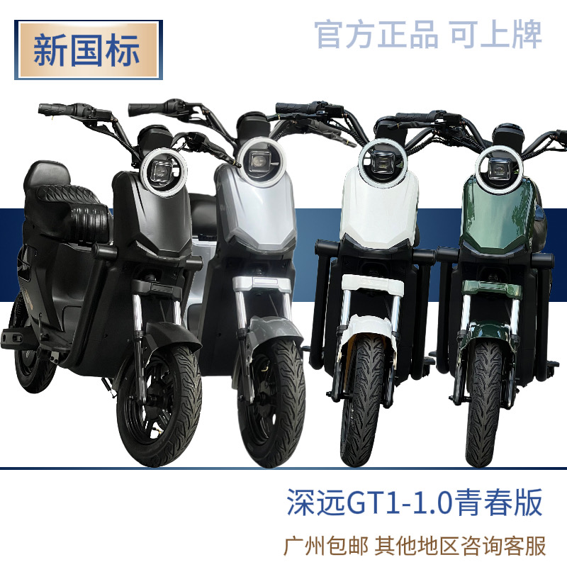 深远GT1-1.0青春版电动自行车新国标锂电可上牌家用代步城市通勤