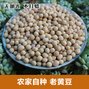 黄豆新货 农家自种老品种非转基因非发芽豆打豆浆五谷杂粮黄豆2斤