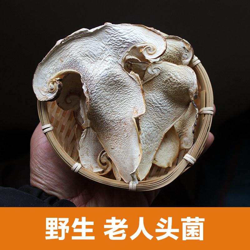 哀牢彝家老人头菌/沙老包菌 云南野菌天然食用菌蘑菇 100克