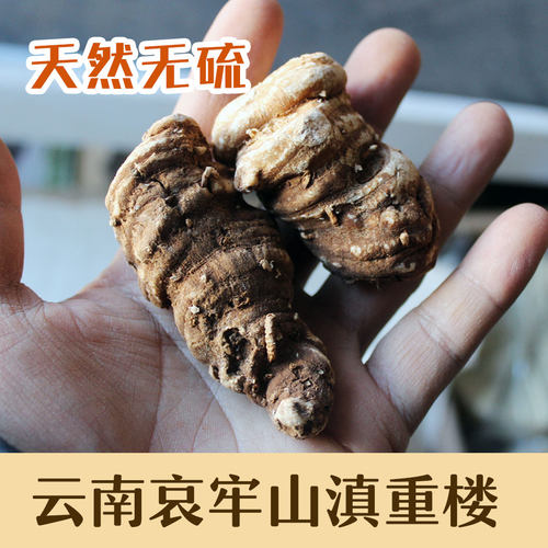 云南哀牢山重楼中药材正品七叶一枝花