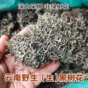 云南野生黑树花灰树花树花菜树皮树胡子野生 干货树毛菜黑树花