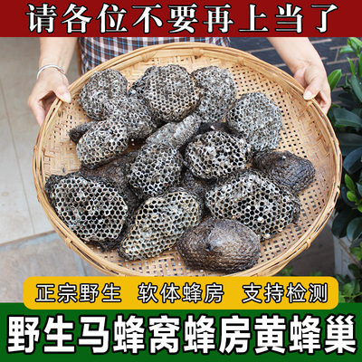 云南纯野生马蜂窝蜂房蜂巢黄蜂窝整个老蜂巢正宗中药材100g包邮