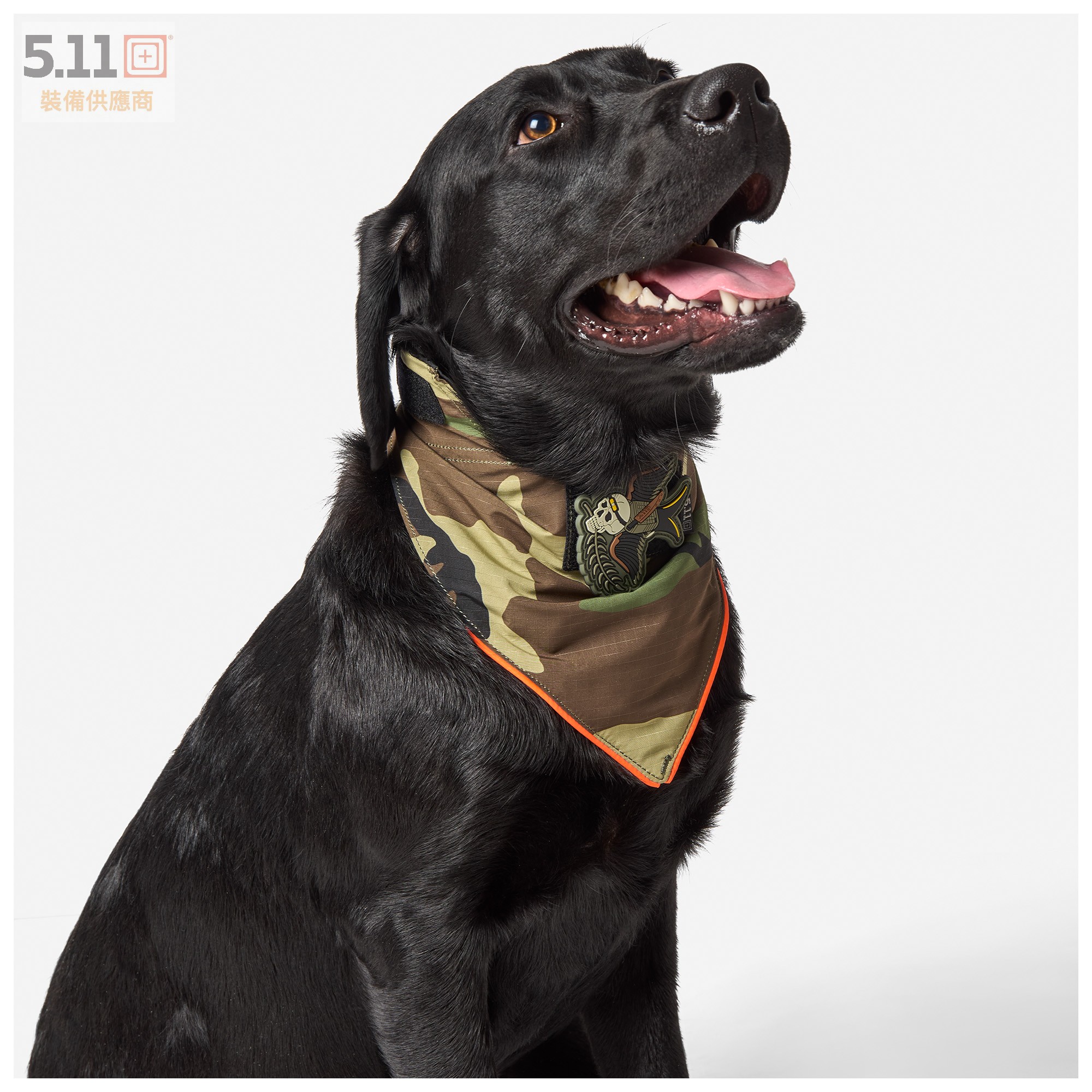 5.11 战术配件K9 警犬任务装备 MISSION READY™ 犬用围巾