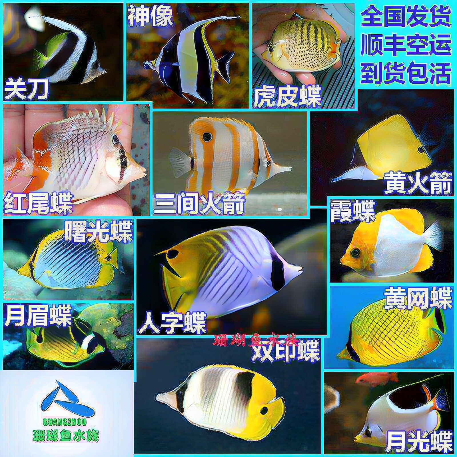 顺丰包活海水鱼网人字霞火箭神像