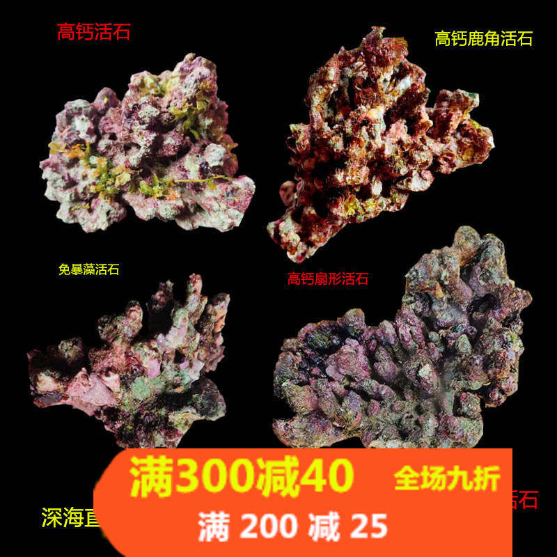 活石免爆藻深海活石海水造景