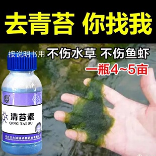 水产养殖鱼药护草青苔净杀蓝藻青苔不伤水草鱼虾蟹可用无毒无残留