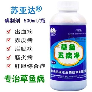 苏亚达草鱼五病净复合碘肝胆综合症草鱼出血病赤皮肠炎烂鳃病鱼药