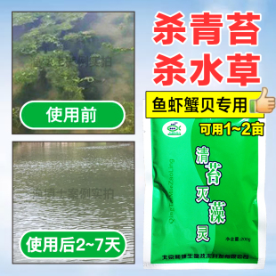 和健清青苔灭藻灵杀丝状藻灭藻青苔草鱼虾蟹贝塘水产养殖净水缺氧