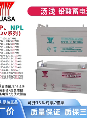 耐普胶体铅酸免维护蓄电池12V100AH12V65AH12V150AH太阳能UPS电源