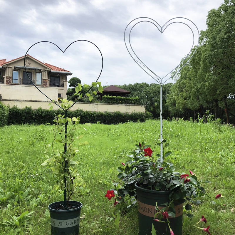 园艺球兰山乌龟铁线莲心形棒棒糖花架爬藤架子植物攀爬支架支撑杆