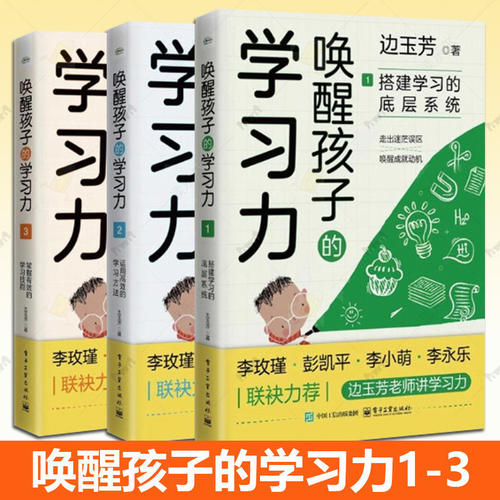 唤醒孩子的学习力 3册边玉芳老师讲学习力系列告别催逼式学习培养孩子主动学习能力家庭教育实操指南家长育儿家庭教育育儿读物