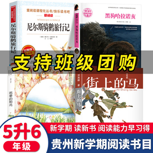 2022贵州双月阅读五升六年级 尼尔斯骑鹅旅行记雨季的阳光街上的马黑鹤动物小说系列黑狗哈拉诺亥 贵州书香黔贵推荐小学生课外书籍