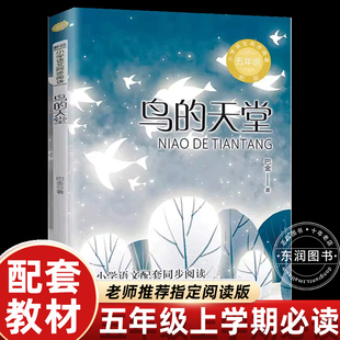 社追忆往昔故人旧事畅销读物 小学语文同步拓展阅读统编教材配套长江文艺出版 巴金散文精选鸟 天堂五年级上册课外书必读老师推荐