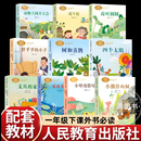 人民教育出版 阅读注音版 小壁虎借尾巴树和喜鹊文具 家圣野四个太阳动物王国开大会快乐读书吧畅销 社一年级下册课外书必读老师推荐