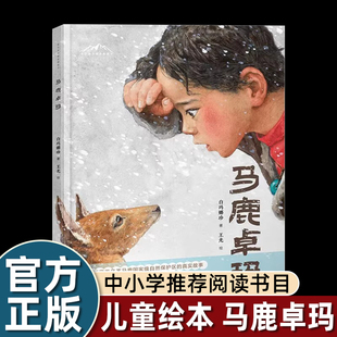 马鹿卓玛 白玛娜珍著 百班千人幼儿园学前大班 亲近母语分级阅读四年级推荐阅读书目 精装硬壳绘本故事书 北京少年儿童出版社 马路