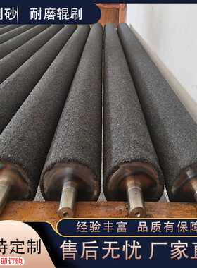 金钢砂辊喷砂辊土豆去皮机中粗砂辊毛刷辊工业机械厂家直销