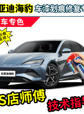比亚迪海豹dmi补漆笔自喷漆北冰蓝亚特兰蒂斯灰色冠军荣耀版车漆