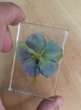 长春花变色水晶标本