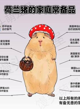 豚鼠荷兰猪预防常备药