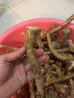 Fresh horseradish, 500g mountain radish, horseradish, non-Japanese wasabi, fresh wasabi thumbnail 3