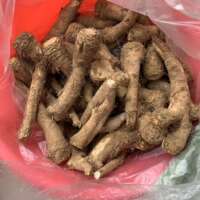 Fresh horseradish, 500g mountain radish, horseradish, non-Japanese wasabi, fresh wasabi thumbnail 7