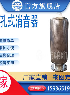 小孔消音器锅炉蒸汽消音器