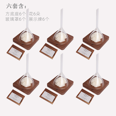 香薰精油放松芳香疗愈展示闻香器