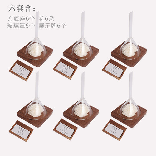 香薰精油放松芳香疗愈展示闻香器