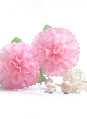 粉红色蔷薇通草干花无火香薰精油补充液家居香氛挥发棒香薰配件