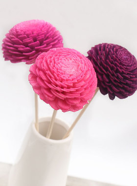 原创紫色干花套装 无火藤条香薰精油通草花挥发棒配件 插花装饰物