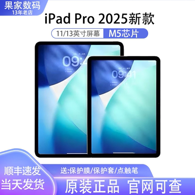 ipadpro2025款11英寸平板电脑