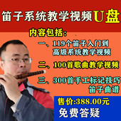 笛子零基础入门到高级技巧全套系统教学视频U盘