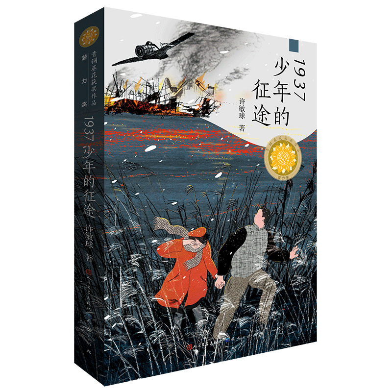 BK1937少年的征途