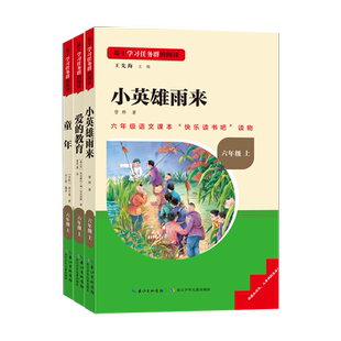 名校课堂快乐读书吧六年级上册下册课外三阶梯阅读必读书籍目 童年/小英雄雨来爱的教育鲁滨逊漂流尼尔斯骑鹅旅行记汤姆索亚历险记