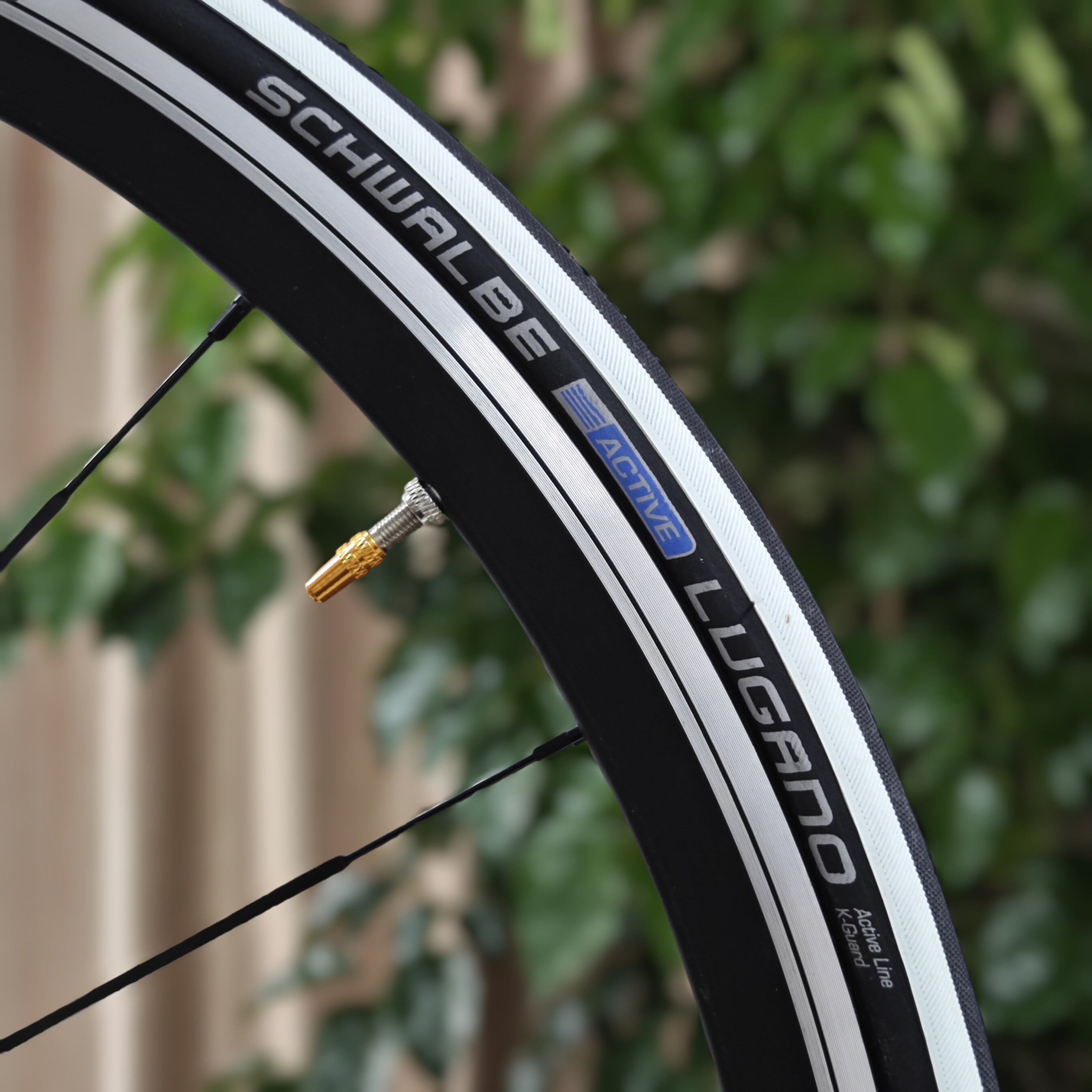 SCHWALBE LUGANO 700C公路自行车外胎 德国世文 德燕 训练胎 - 实物图