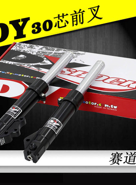 DY30/33芯减震器劲战福喜鬼火RSZ酷奇100改装前叉非TTGR法斯特AGL