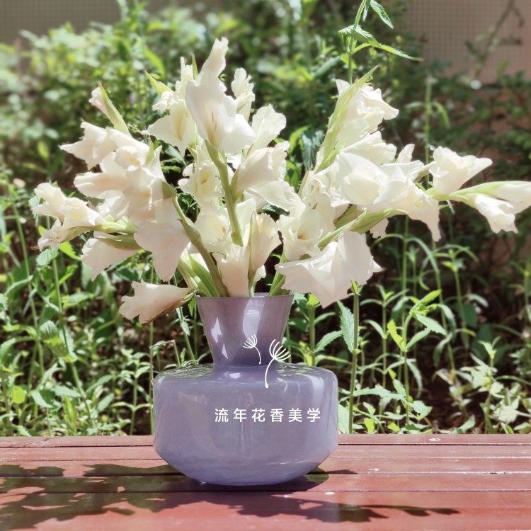 敞口大肚亮瓷紫罗兰粉色绿色手工彩色玻璃花瓶水养插花器家居摆件