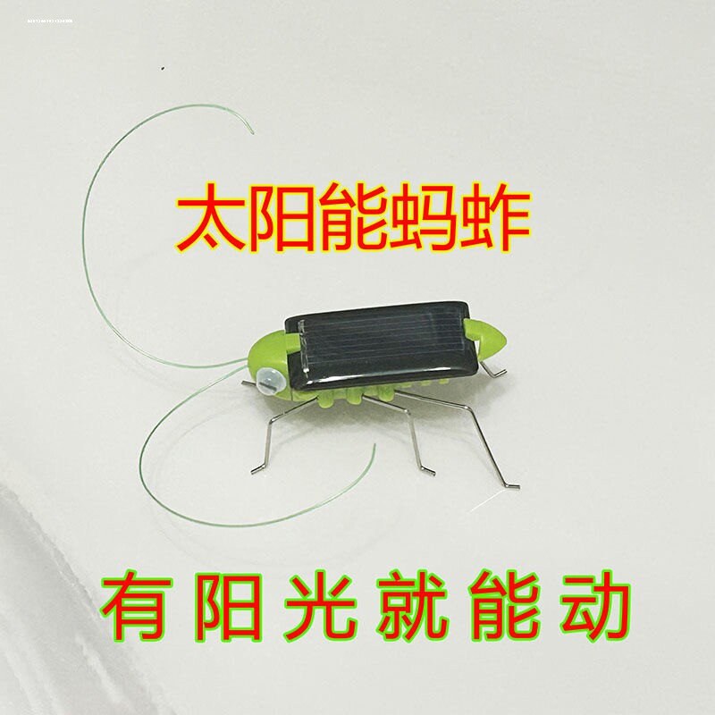 创意课堂教学生日礼物蛊惑益智儿童玩具太阳能蚂蚱玩具